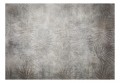 Fototapeta - Natura w zmroku