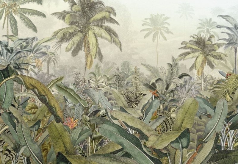 Fototapeta Amazonia XXL4-063