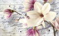 Fototapeta KWIAT MAGNOLII  2878