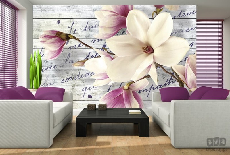 Fototapeta KWIAT MAGNOLII  2878