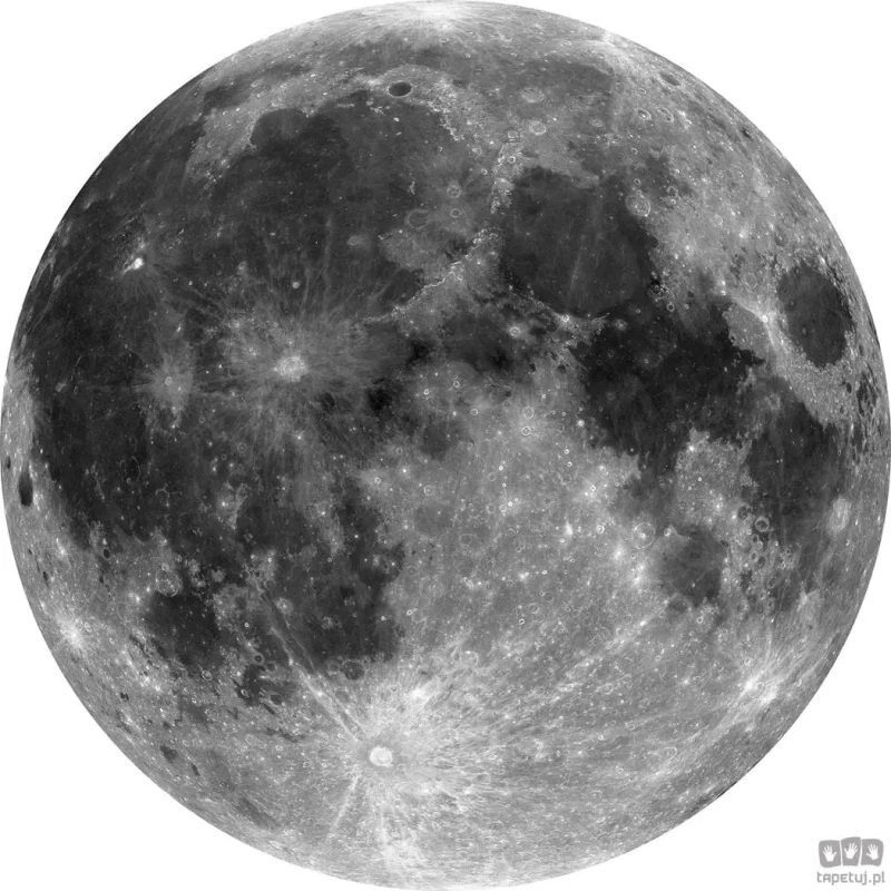 Fototapeta Moon D1-019