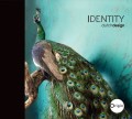 Wypożycz katalog tapet ściennych Identity