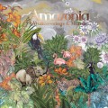 Wypożycz katalog tapet ściennych Amazonia