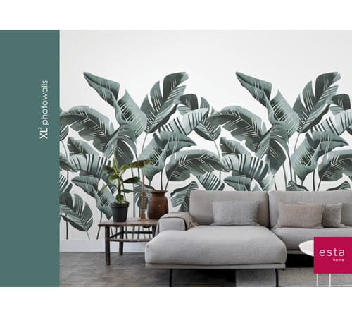 Wypożycz katalog tapet ściennych XL2 – Photowalls