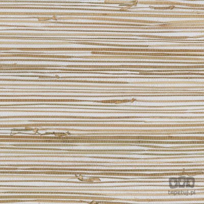 Grasscloth 2 488-438 tapeta ścienna Galerie