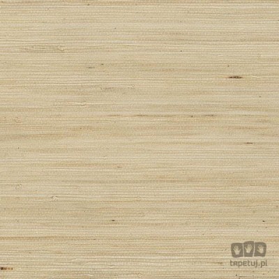 Grasscloth 2 488-430 tapeta ścienna Galerie