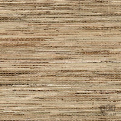 Grasscloth 2 488-413 tapeta ścienna Galerie