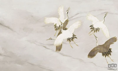 Fototapeta Ivory Tsuru