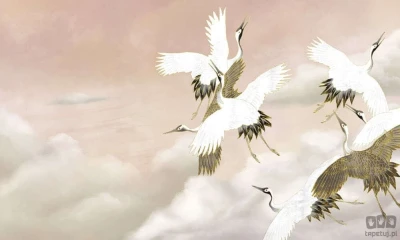 Fototapeta Taupe Tsuru
