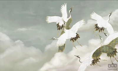 Fototapeta Sage Tsuru