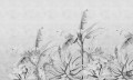 Fototapeta na wymiar Rainforest Sketch