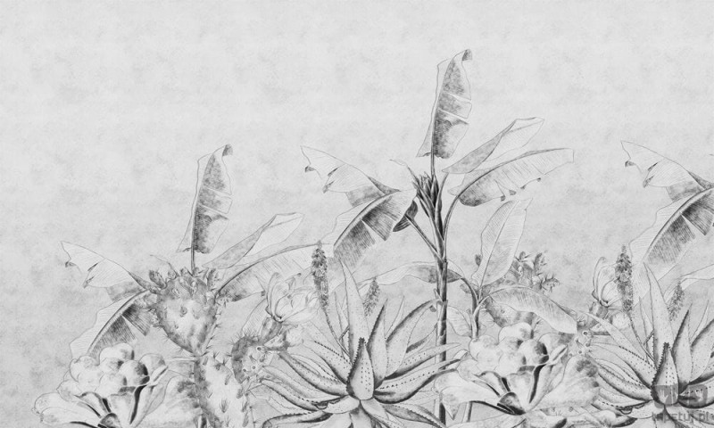 Fototapeta na wymiar Rainforest Sketch