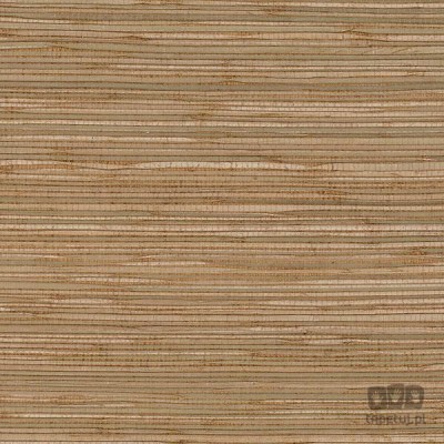 Grasscloth 2 488-402 tapeta ścienna Galerie