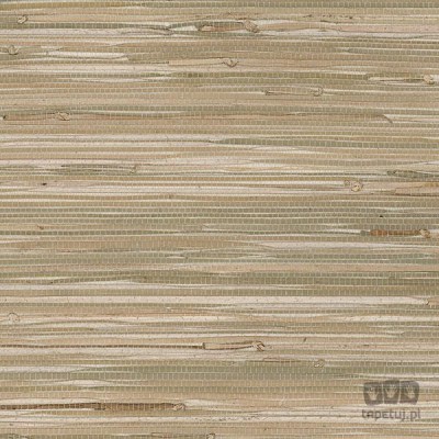 Grasscloth 2 488-403 tapeta ścienna Galerie