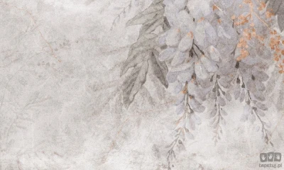Fototapeta Wisteria