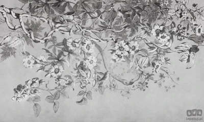 Fototapeta Alamanda