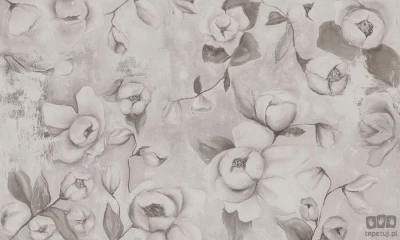 Fototapeta Kotone Beige