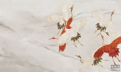 Fototapeta Creamy Tsuru