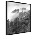 Plakat - Mglisty las