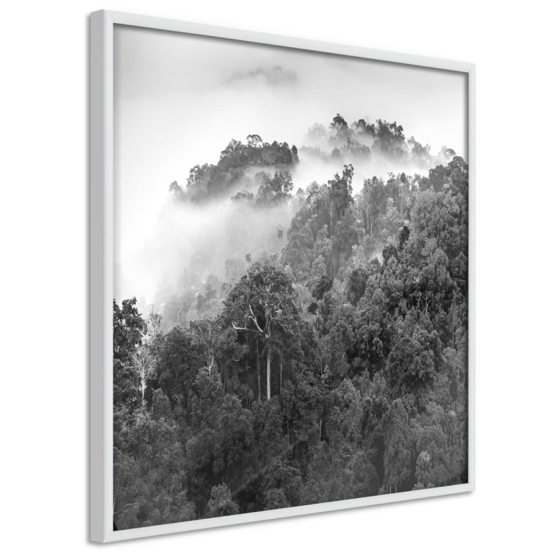 Plakat - Mglisty las