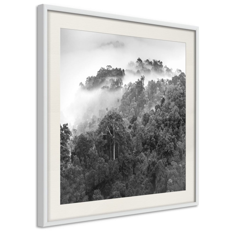 Plakat - Mglisty las