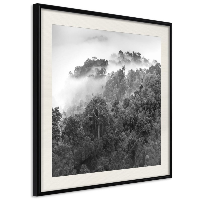 Plakat - Mglisty las