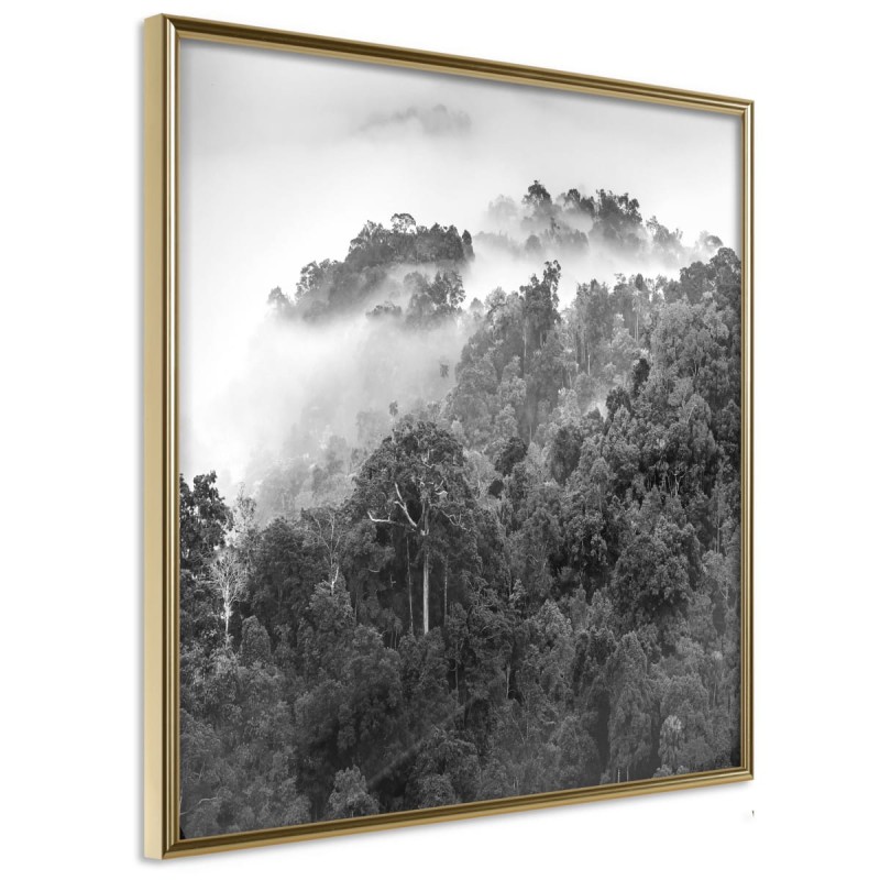 Plakat - Mglisty las