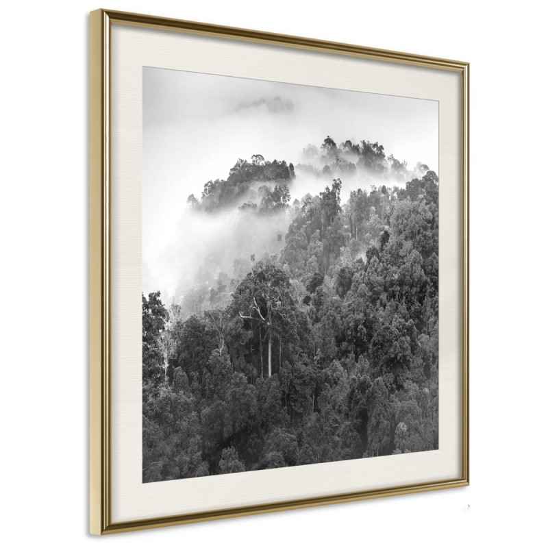 Plakat - Mglisty las