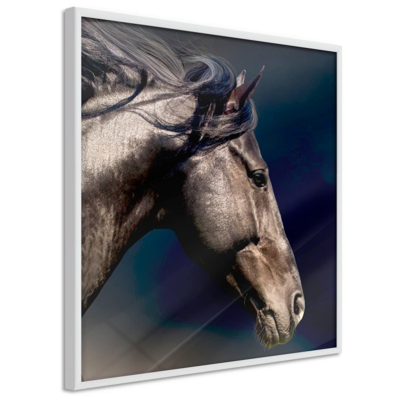 Plakat - Gracja