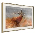 Plakat - Rykowisko