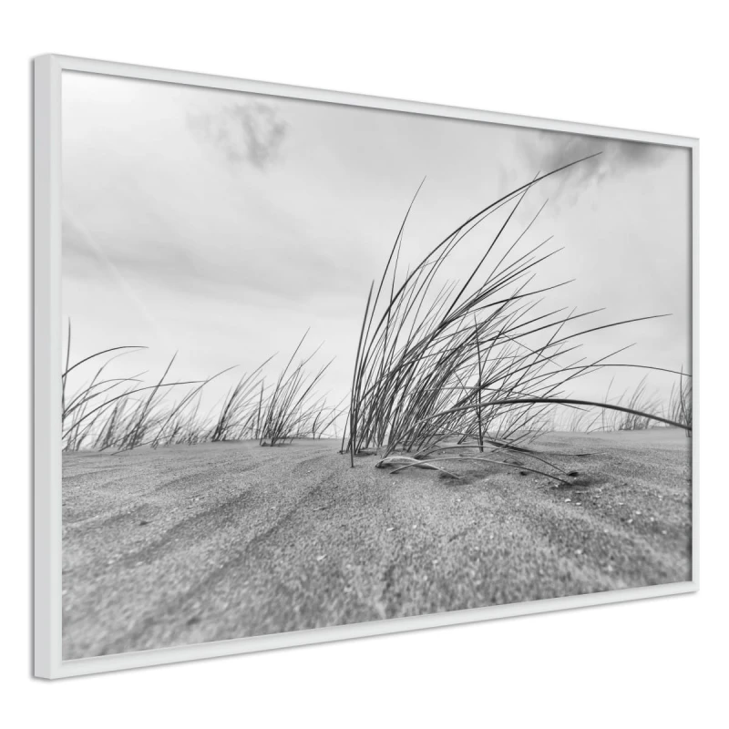 Plakat - Nadmorskie wydmy