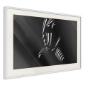 Plakat - Cień żaluzji