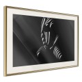 Plakat - Cień żaluzji