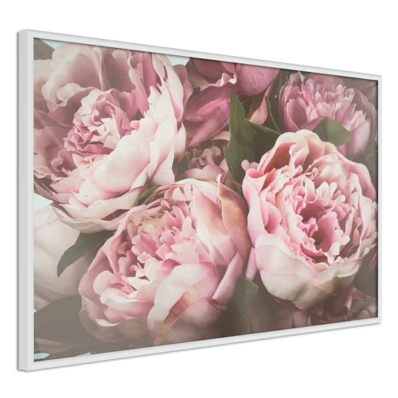 Plakat - Pastelowe peonie