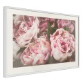 Plakat - Pastelowe peonie