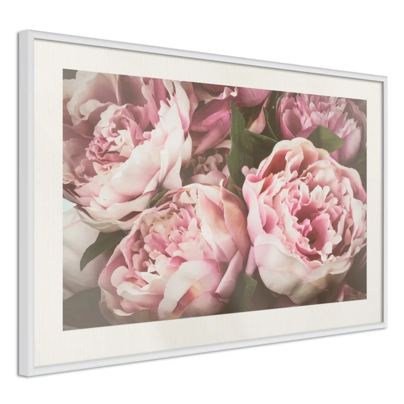 Plakat - Pastelowe peonie