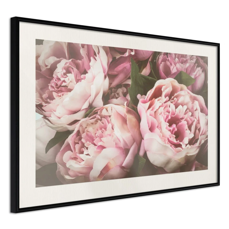 Plakat - Pastelowe peonie