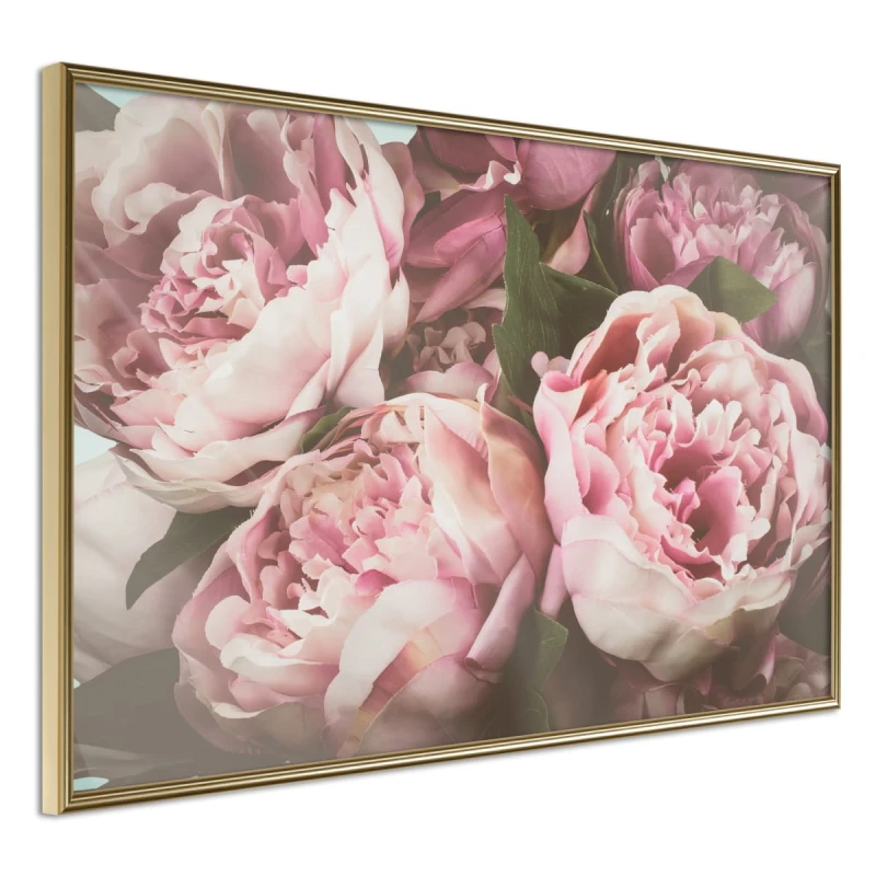 Plakat - Pastelowe peonie