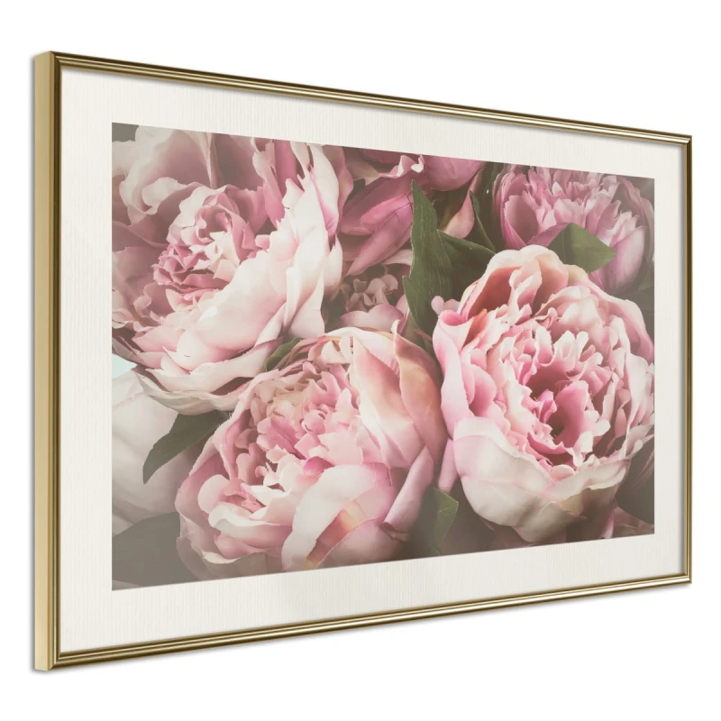 Plakat - Pastelowe peonie