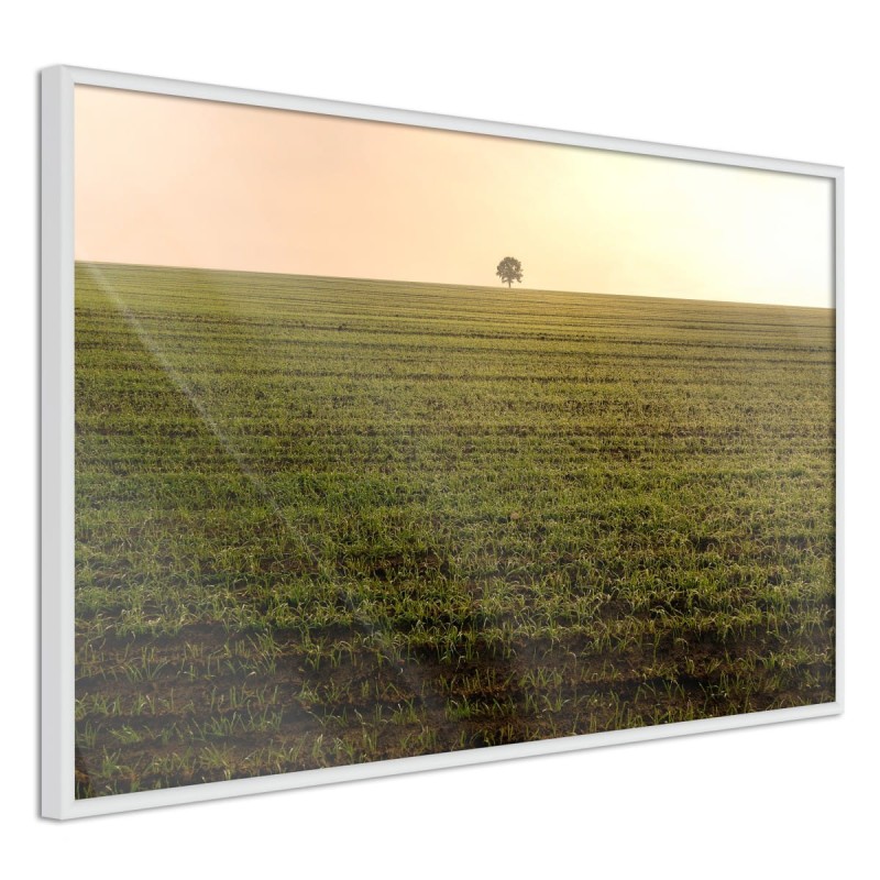 Plakat - Pole uprawne