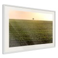 Plakat - Pole uprawne