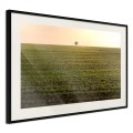 Plakat - Pole uprawne