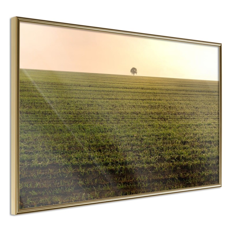 Plakat - Pole uprawne