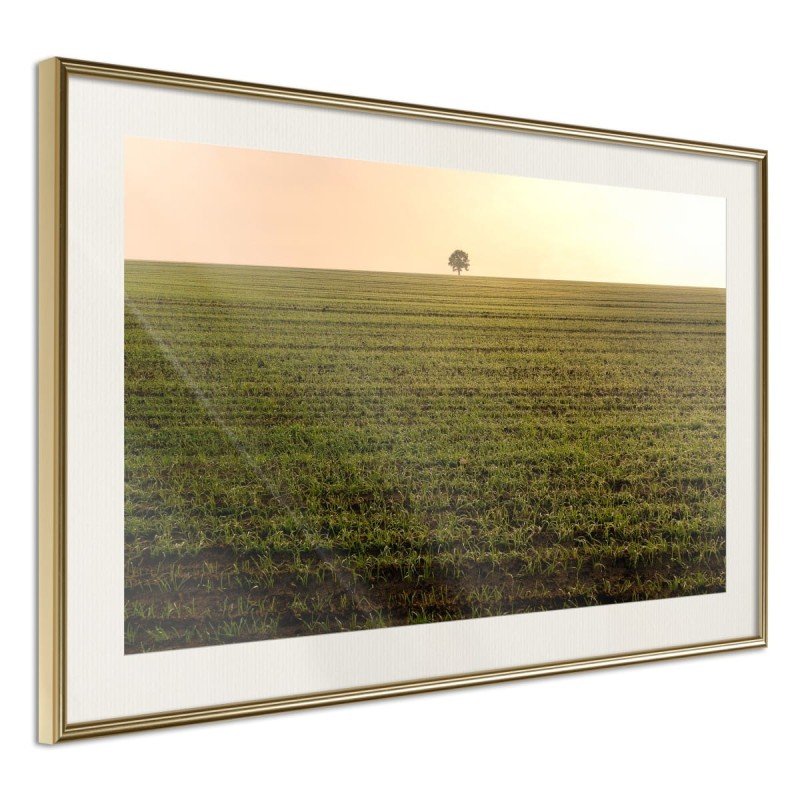 Plakat - Pole uprawne