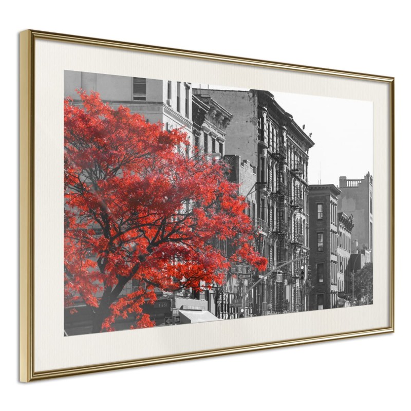 Plakat - Kolory jesieni II
