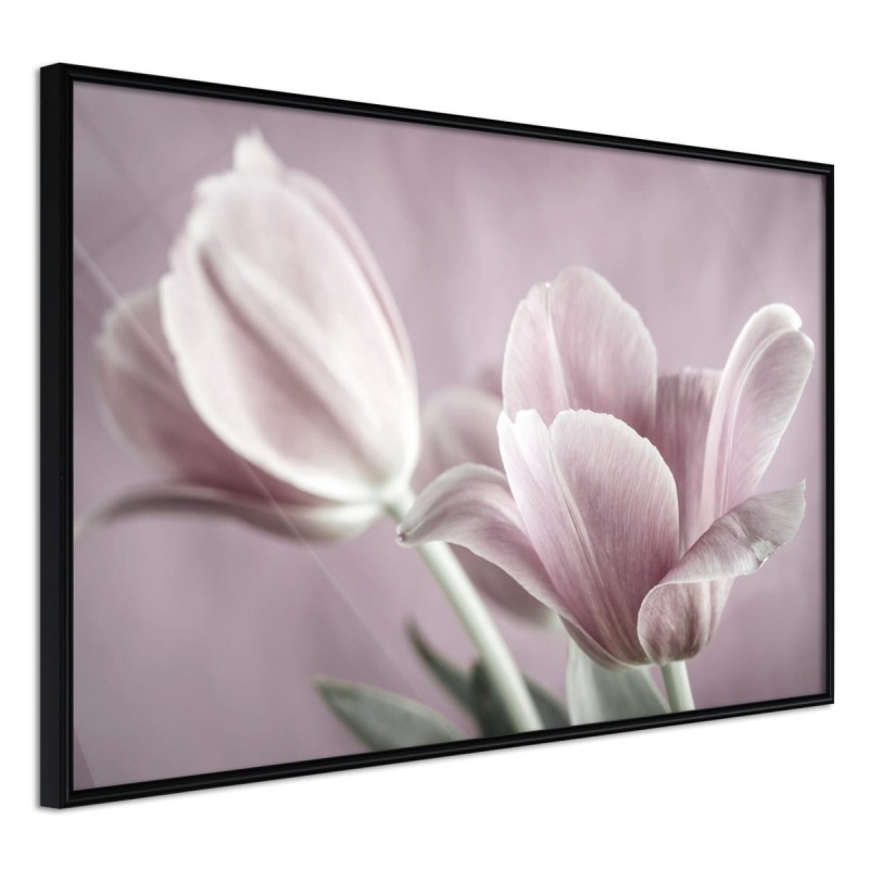 Plakat - Pastelowe tulipany I