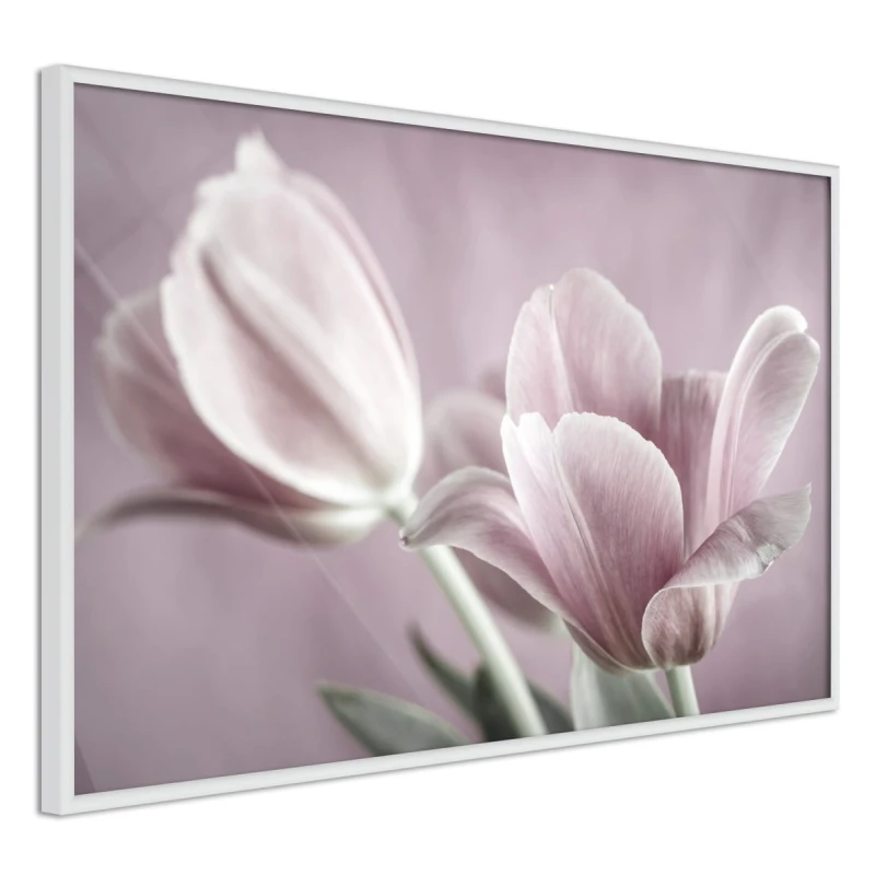 Plakat - Pastelowe tulipany I