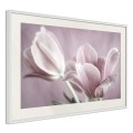Plakat - Pastelowe tulipany I
