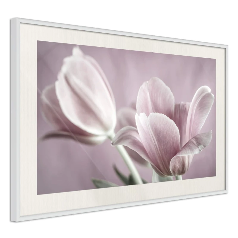 Plakat - Pastelowe tulipany I
