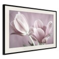 Plakat - Pastelowe tulipany I
